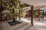 AmaMagna Gallery Image